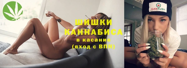 дживик Мегион