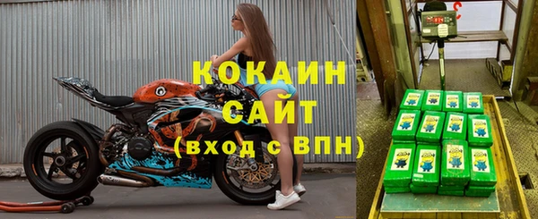 гашик Бежецк