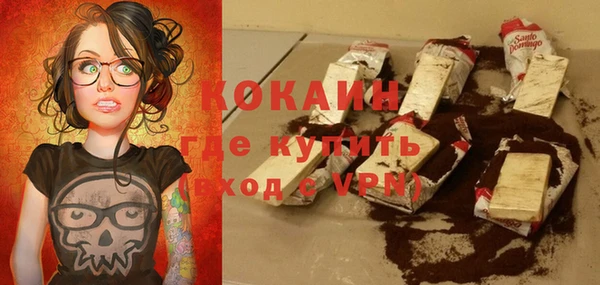 дживик Мегион