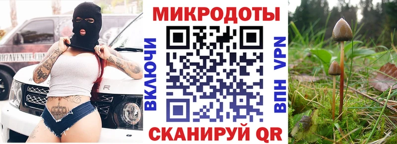 Галлюциногенные грибы Magic Shrooms Гаврилов Посад